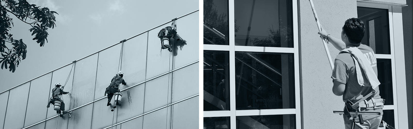 Expert Window Cleaning